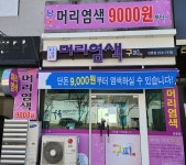 구피샵 대구만촌점