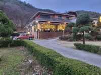 어도활어참치