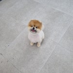 몽엔보리