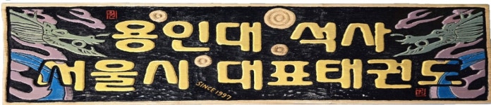 용인대석사 서울시대표 태권도