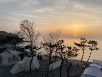 영흥도어울림캠핑장