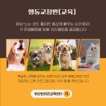 아산반려견교육센터