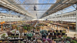 레드원다육농원