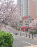 경희대도전태권도장
