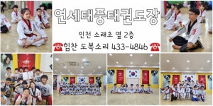 연세대 태풍태권도