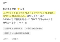 스타반려견교육센터