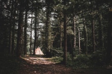 농업회사법인 춘당노다지휴양마을