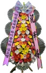 전국꽃배달하이플라워