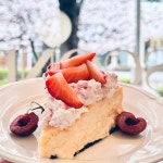 코멧츠