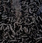 농업회사법인 참유원