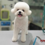 미묘하개
