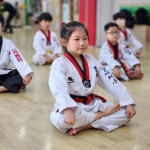 연세대 태풍태권도