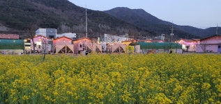 단장알프스펜션&글램핑