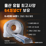 울산 강일웅고양이메디컬센터