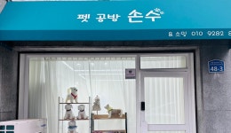 펫공방손수