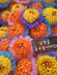 경희대체육관