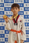첨단 세움태권도