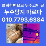 누수탐지