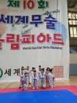 첨단 세움태권도