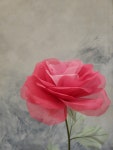 미쁘다아로마&플라워 | 미쁘다 플라워공예디자인협회