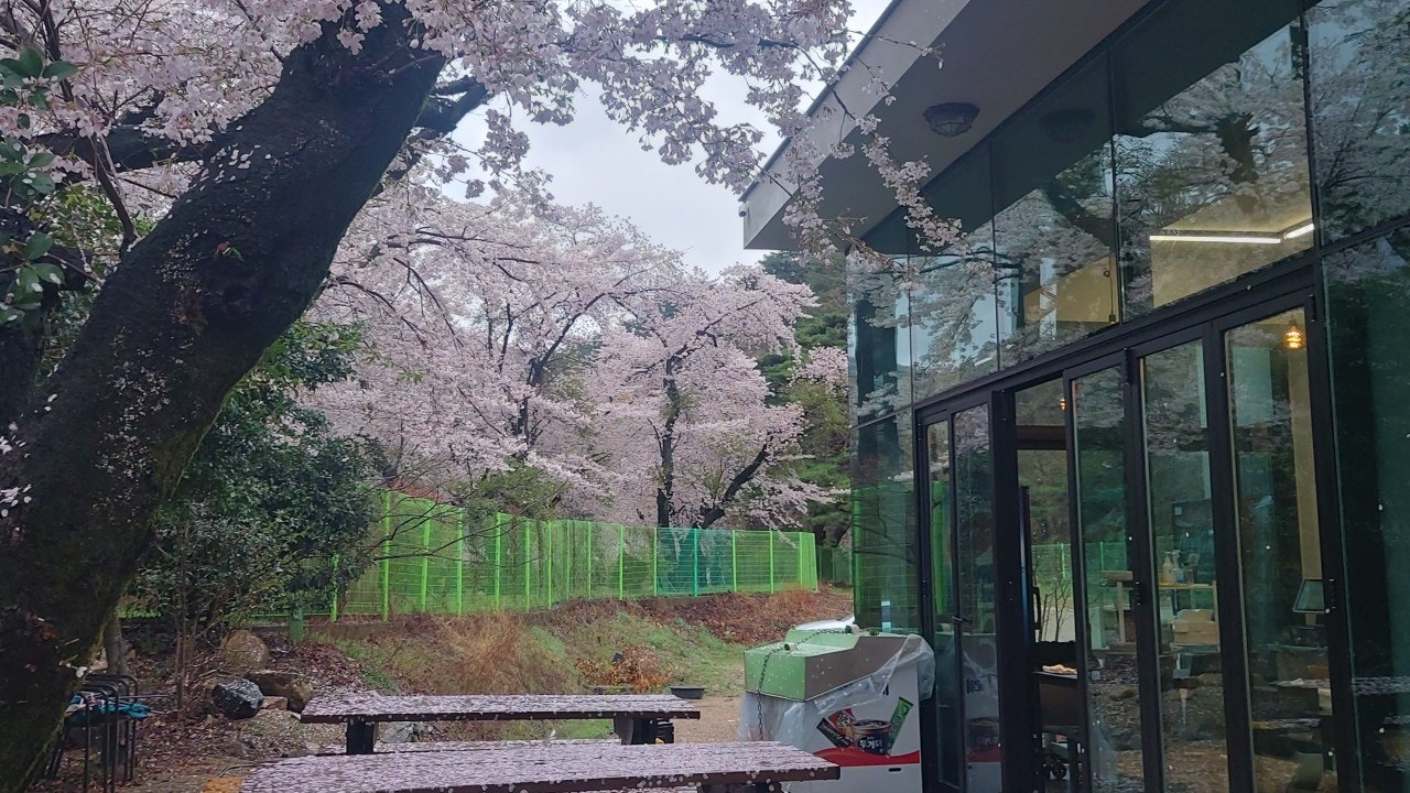 이담식당