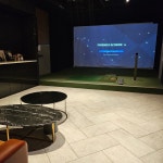 비다펠리즈 스크린골프