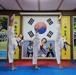 용인대비호태권도합기도