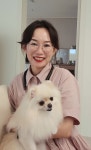 돌담공인중개사사무소