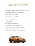 송도 금은동 스팀세차 손세차