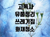 특수청소