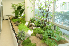 양정분산부인과의원