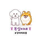 야옹아 멍멍해봐 복실이네