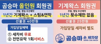 곰승마 손세차장