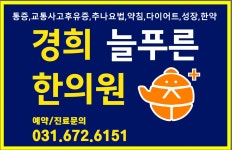 경희늘푸른한의원 원종역