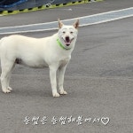눈썹해봄