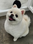 우리몽