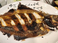 강상구참치