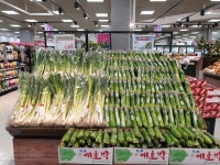 롯데마트 석사점