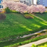 현대옥 천안불당동카페거리점