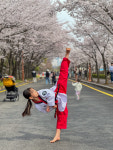 효경희대석사태권도