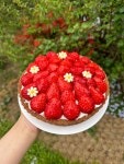 커피하우지