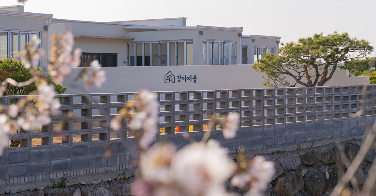 강아지풀애견펜션 이미지