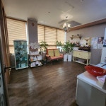 김정희 에스테틱