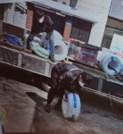 광성전기조명