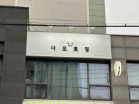 아모르 댕