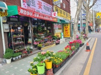 마트꽃직매장