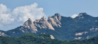 갤러리공인중개사사무소