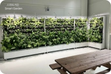 오알에스코리아