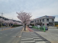 현대 자동차 운전 전문학원