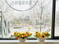 라라키즈가든플라워스쿨 안양교육원